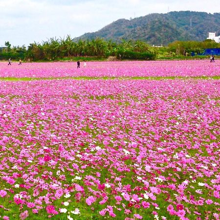 ブーゲンテラスリゾート「てぃーち家」 名護市 エクステリア 写真